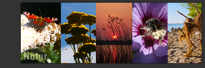 Natur