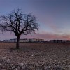 Das Schlachtfeld