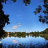 Enten vor den weissen Br�cken