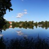 Enten vor weissen Br�cken